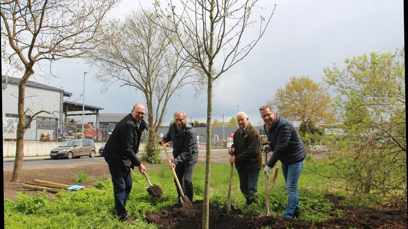 Den Baum des Jahres hat diesmal die Stadt Stade spendiert. Bürgermeister Sönke Hartlef, Heiner Baumgarten vom BUND, Ratsherr Horst Deede (UBLS) und Landrat Kai Seefried pflanzen die Mehlbeere ein.