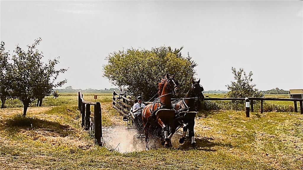Den Reit- und Fahrverein Engelschoff gibt es seit 100 Jahren.