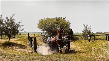 Den Reit- und Fahrverein Engelschoff gibt es seit 100 Jahren.
