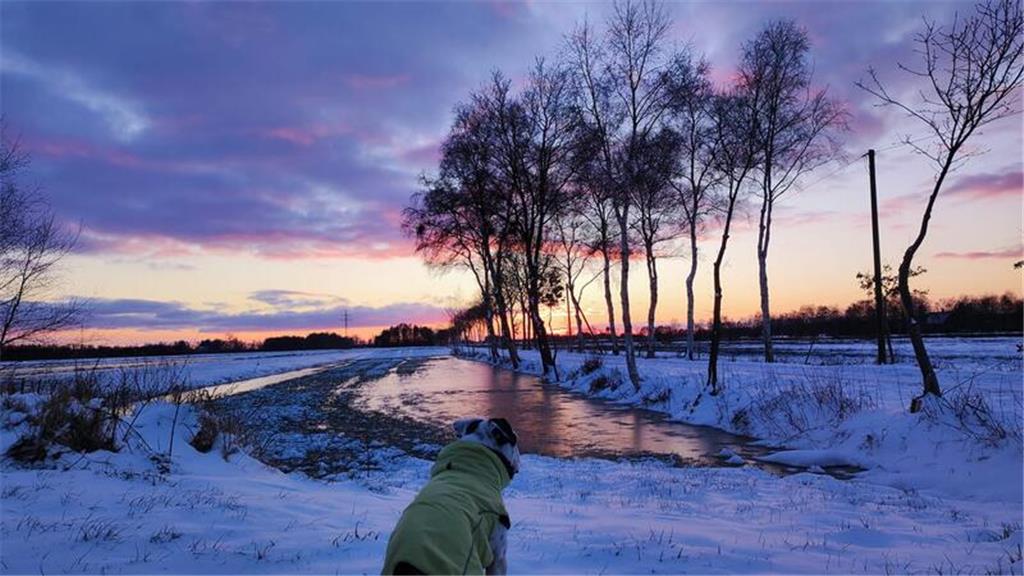 Den Sonnenuntergang im Neulandermoor hat Lilaflanell Läbchen auf Facebook gepost...