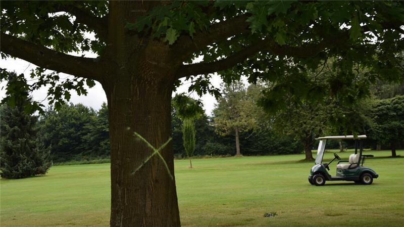 Mehr Anfragen als Bauplätze: Bliedersdorf bei Hausbauern begehrt Den ehemaligen Golfplatz in Immenbeck durfte Bliedersdorf nicht als Ausgleichsfläche nutzen.