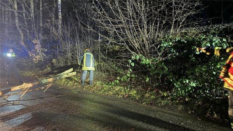 Sturm im Kreis Stade: Mehr als 50 Einsätze für Feuerwehr und Polizei Den letzten Einsatz hat die Wehr Warstade um 19.30 Uhr an der Heide. Danach wird der Sturm merklich weniger und es gibt keine nennenswerten Einsätze mehr in der Nacht.