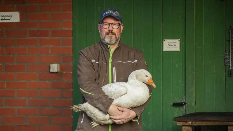 Gans oder gar nicht - Festschmaus vom Hof Dennis Wolff von der Lieth mit seiner Lieblingsgans Bronislawa die am Donnerstag das Zeitliche segnet.
