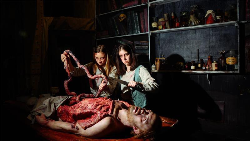 Der 40 Kilogramm schweren Pestleiche wurde ein halbes Kilo neue Haare eingesetzt und das Herz sowie der Darm erneuert.