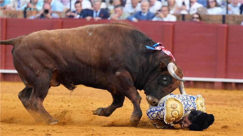 Der 46-Jährige erlitt nach Angaben des zuständigen Arztes sehr schwere Verletzungen.