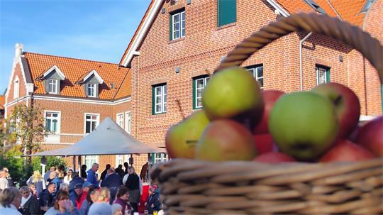 Der Altländer Apfelfest findet rund um das Rathaus in Steinkirchen statt - erstmals an einem Samstag.
