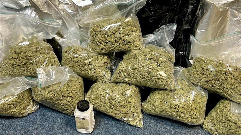 Der Angeklagte hat nach den Feststellungen des Gerichts mindestens 61 Kilogramm Marihuana (Symbolbild) aus den Niederlanden eingeführt. Foto: dpa