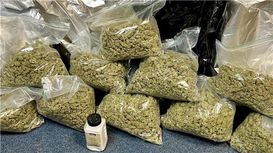 Der Angeklagte hat nach den Feststellungen des Gerichts mindestens 61 Kilogramm Marihuana (Symbolbild) aus den Niederlanden eingeführt. Foto: dpa