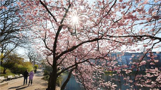 Der April lockte die Hamburger nach draußen. (Archivbild)