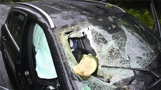 Der Ast hat die Windschutzscheibe des Mercedes völlig zerstört.
