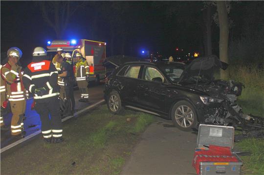 Der Audi prallte frontal gegen einen Baum und wurde stark beschädigt. Fotos: Feuerwehr Stade
