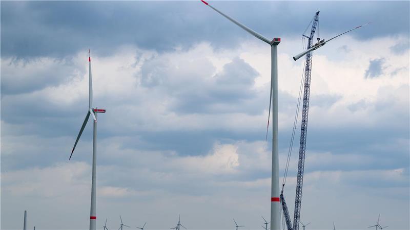 Der Ausbau der Windenergie drohe von der Bundesregierung ausgebremst zu werden, warnt die Branche. (Symbolbild)