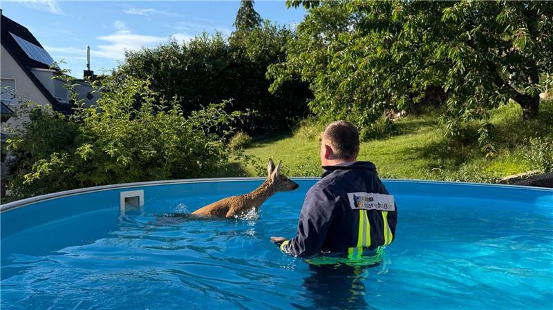 Der Ausflug ins kühle Nass endete für das Rehkitz mich reichlich Stress. (Foto Feuerwehr Aßlar/dpa)