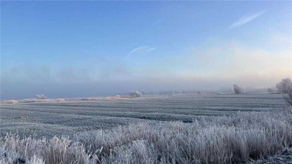 Der Außendeich in Assel von Petra von Allwörden.
