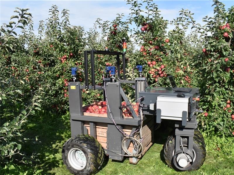 Der Autonomen Obstplantagenhelfer Altes Land (Aurora) der Hochschule 21 soll als Plattform für die zukünftige Samson-Sensorik dienen. Foto: Vssel