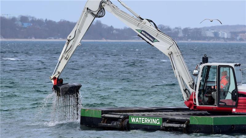 Der Bagger gräbt eine Rinne für den gestrandeten Wal.