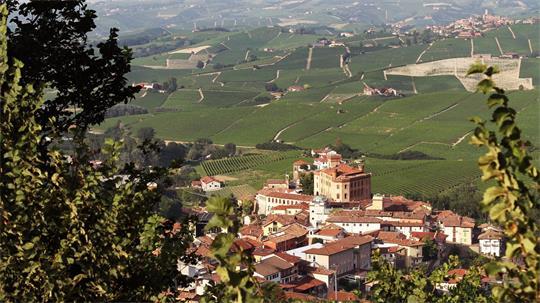 Der Barolo aus der Umgebung der gleichnamigen Gemeinde gehört zu den berühmtesten Weinen der Welt. (Archivbild)
