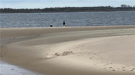 Der Bassenflether Elbstrand ist ein beliebtes Ausflugsziel - auch für Hundehalter.