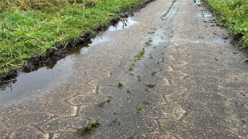 Horneburger Rentner stürzt auf verwildertem Weg – Samtgemeinde greift ein Der Bauhof ließ kürzlich den Wanderweg zwischen den Teichen beim Forellenhof Wilke und dem Hauerplatz in Bliedersdorf freischneiden.