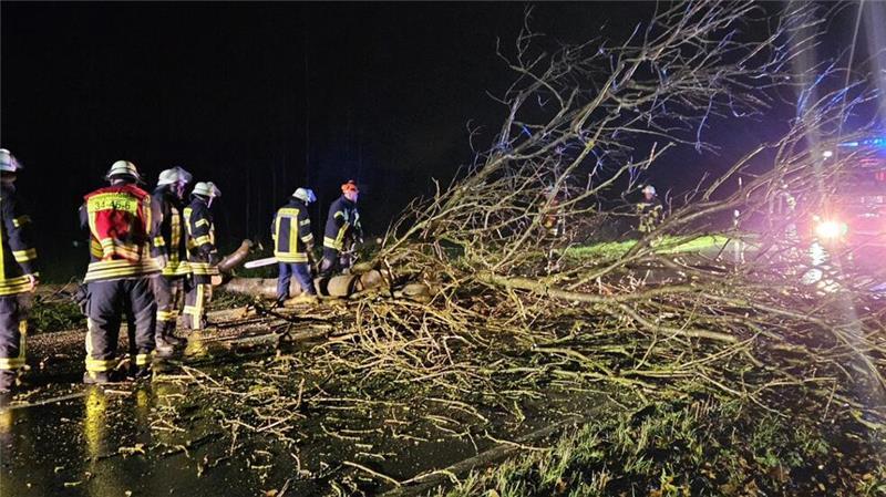 Nach Sturmschäden: K68-Sperrung wird verlängert Der Baum blockierte die B74 am Donnerstagmorgen für rund 30 Minuten.