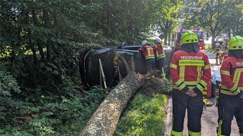 Der Baum ist durch die Wucht des Aufpralls umgekippt. Der Pkw landete auf der Seite.