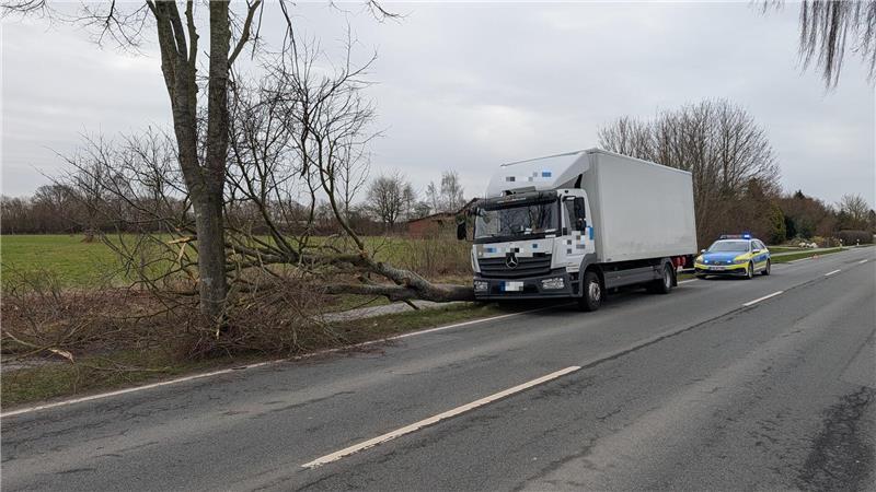 Der Baum war nach dem Unfall nicht mehr zu retten, die Straßenmeisterei musste ihn entfernen.