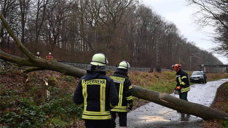 Bahnstrecke stundenlang gesperrt: Landrat fordert Baumfällungen Der Baum wird zersägt.