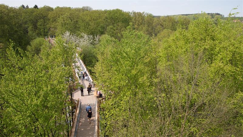 Ferien in Niedersachsen: Ausflugsziele abseits der Klassiker Der Baumwipfelpfad in Bad Iburg ist bei Ausflüglern beliebt.