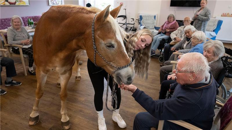 Kommt ein Pferd in den Speisesaal - Stute besucht Pflegeheim Der Besuch der Stute ist für die alten Menschen eine willkommene Abwechslung zum Alltag im Altersheim.