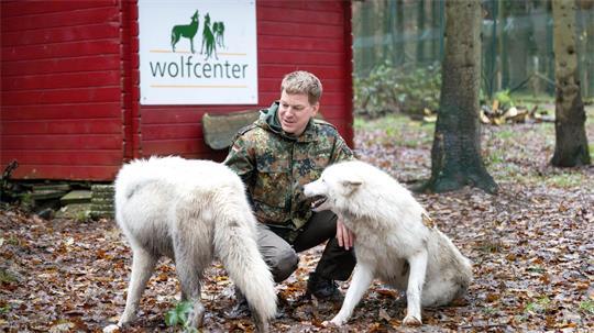 Der Betreiber des Wolfcenter Dörverden, Frank Faß, geht zu seinen Wölfen auch ins Gehege - für fremde Besucher ist das aber tabu. (Archivbild)
