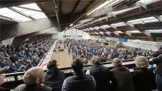 Der Bezirksverband des Hannoveraner Verbands hatte zu der Podiumsdiskussion in der Reithalle auf dem Dobrock in der Wingst eingeladen.