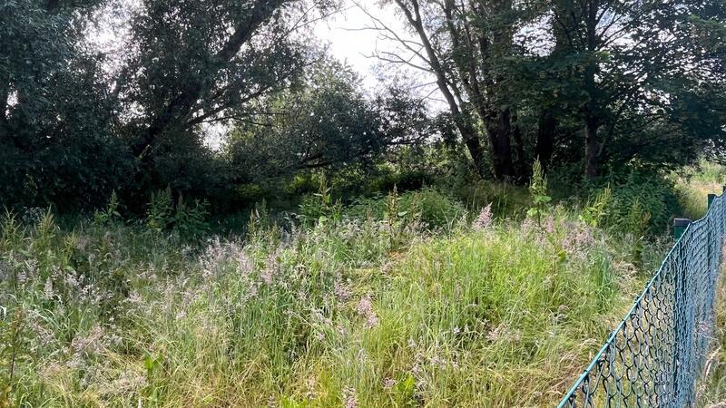 Der Bikepark ist verwildert.