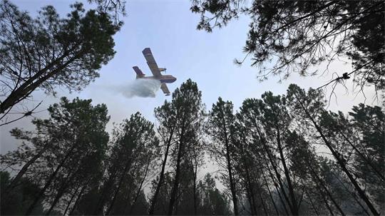 Der Brand bei Luglon hat inzwischen rund 1.600 Hektar Wald und Buschland erfasst. Etwa 650 Menschen wurden vorsorglich evakuiert.