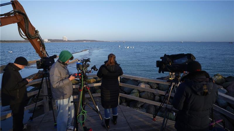 Der Buckelwal vor Timmendorfer Strand hat sich befreit. 