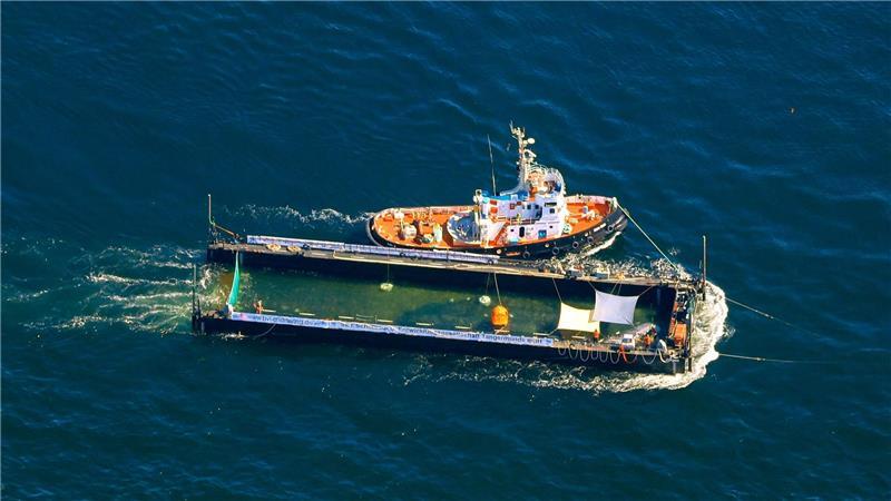 Der Buckelwal wurde in einer sogenannten Barge transportiert.