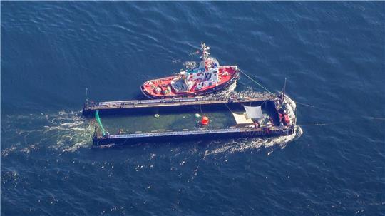 Der Buckelwal wurde in seiner Barge vom Schlepper Fortuna B entlang der dänischen Küste in Höhe unterhalb von Skagen, im sogenannten Skagerrak, durch die Ostsee gezogen. (Archivbild)