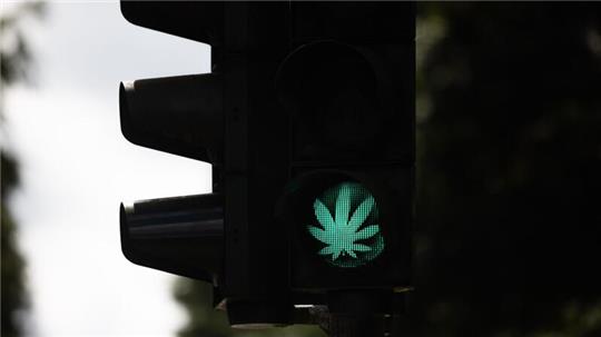 Der Bundestag hat die kontrollierte Cannabis-Freigabe beschlossen.