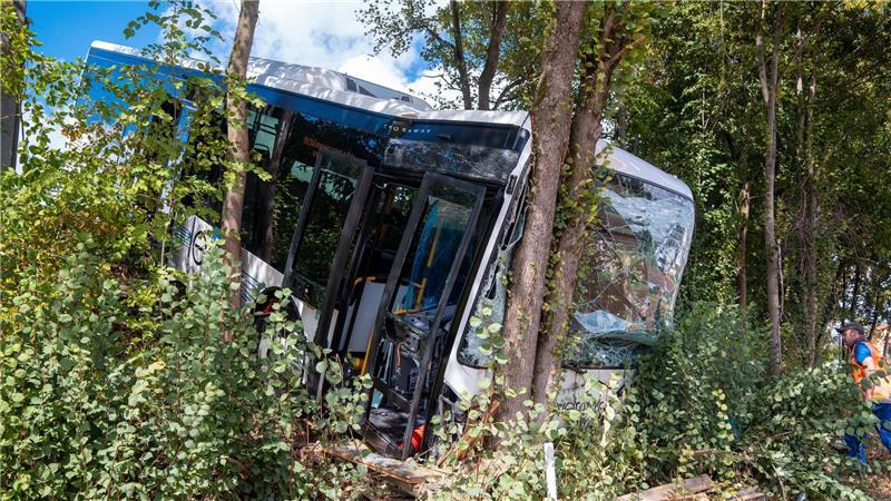 Der Bus kam nach dem Unfall erst im Gebüsch an einer steilen Böschung zum Stehen.