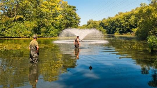 Der Butjadinger Fischereiverein (Landkreis Wesermarsch) kämpft mittlerweile in vier seiner Gewässer gegen ein mögliches Fischsterben an. 