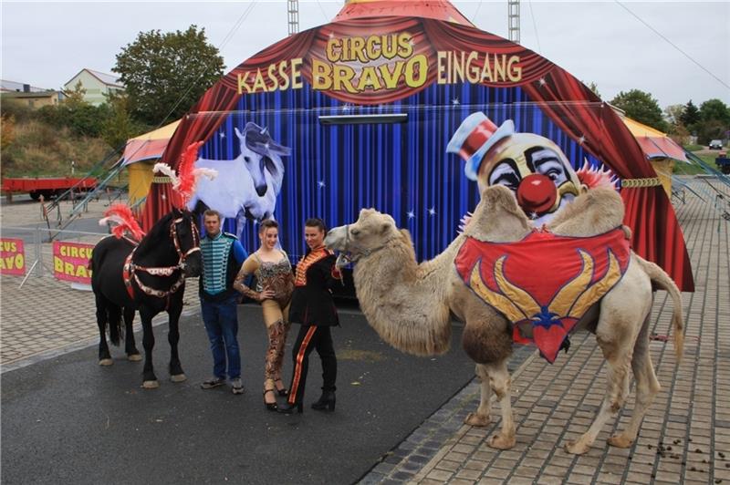 Manege frei für den Circus Bravo Der Circus Bravo ist vom 1. bis zum 11. September in Stade zu Gast.
