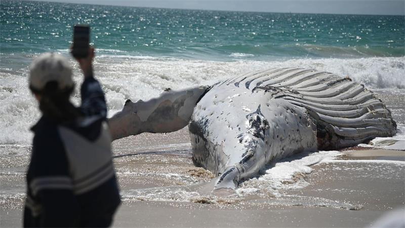 Der City Beach in Perth bleibt vorläufig für Badegäste geschlossen.