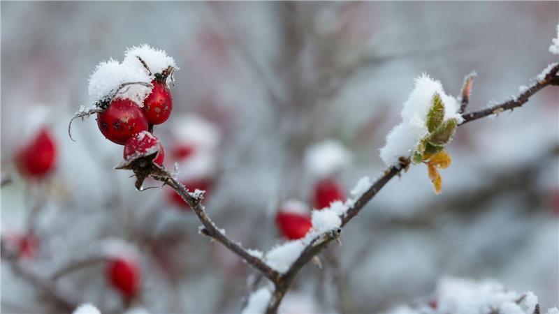 Glätte und Schnee - Frühwinter im Spätherbst Der DWD spricht von einer „frühwinterlichen Phase im Spätherbst“.