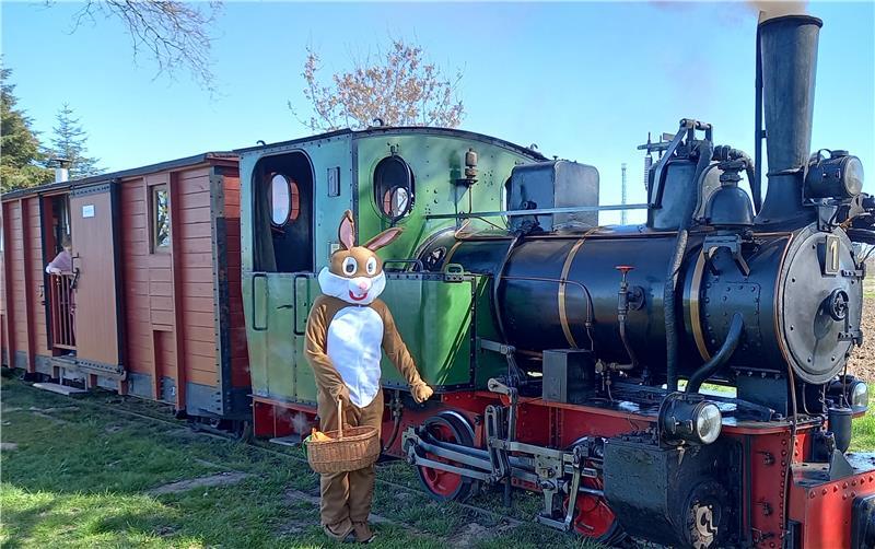 Ostern in Deinste: Mit dem historischen Dampfzug zur Eiersuche Der Dampfzug des Deutschen Feld- und Kleinbahnmuseums fährt zu Saisonbeginn ins Osternest in Lütjenkamp.