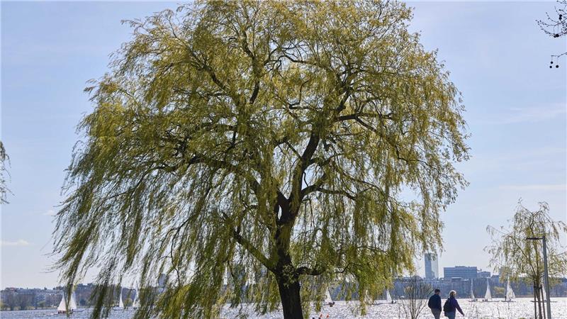 Der Deutsche Wetterdienst (DWD) rechnet für die kommende Woche im Norden mit überwiegend freundlichem Wetter. (Archivbild)