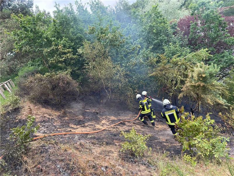 Der Deutsche Wetterdienst hat den Waldbrandgefahrenindex erhöht. Bereits am Freitag musste die Feuerwehr einen Flächenbrand in Goldbecker Heide löschen. Foto: Feuerwehr