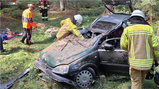 Der Einsatzort in Dollern lag mitten im Wald.