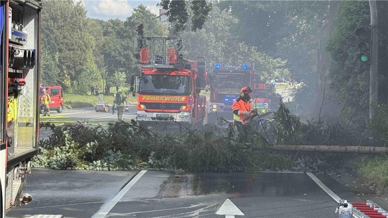 Der Einsatzort war schwer zugänglich, die Feuerwehr fällte Bäume.
