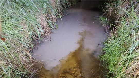 Der Eintritt von Bentonit führt zu einer Färbung und Trübung des Wassers im Graben bei Hatzte. Das Tonmineral gilt nicht als wassergefährdend.