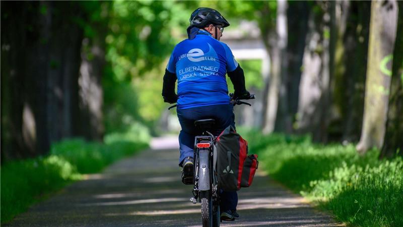 Elberadweg: Nutzung sinkt nach Boom in der Pandemie Der Elberadweg feiert in diesem Jahr sein 30-jähriges Bestehen. (Archivbild)