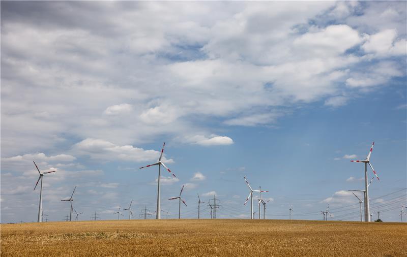 Gemeinderat Estorf stimmt für Windpark bei der A20-Trasse Der Estorfer Gemeinderat spricht sich für einen Windpark aus (Symbolbild). Foto: Jan Woitas/dpa
